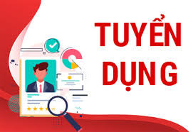 CÔNG TY TNHH STX VIỆT NAM TUYỂN DỤNG 02 NHÂN VIÊN VĂN PHÒNG (TIẾNG NHẬT)
