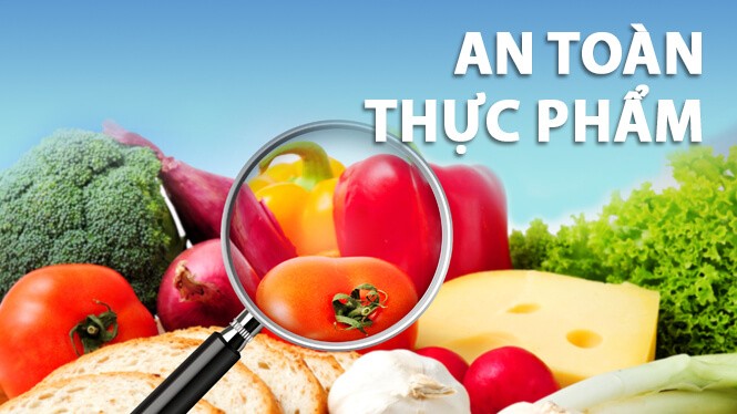 Giấy chứng nhận cơ sở đủ điều kiện An toàn thực phẩm cho DN tại Việt Nam