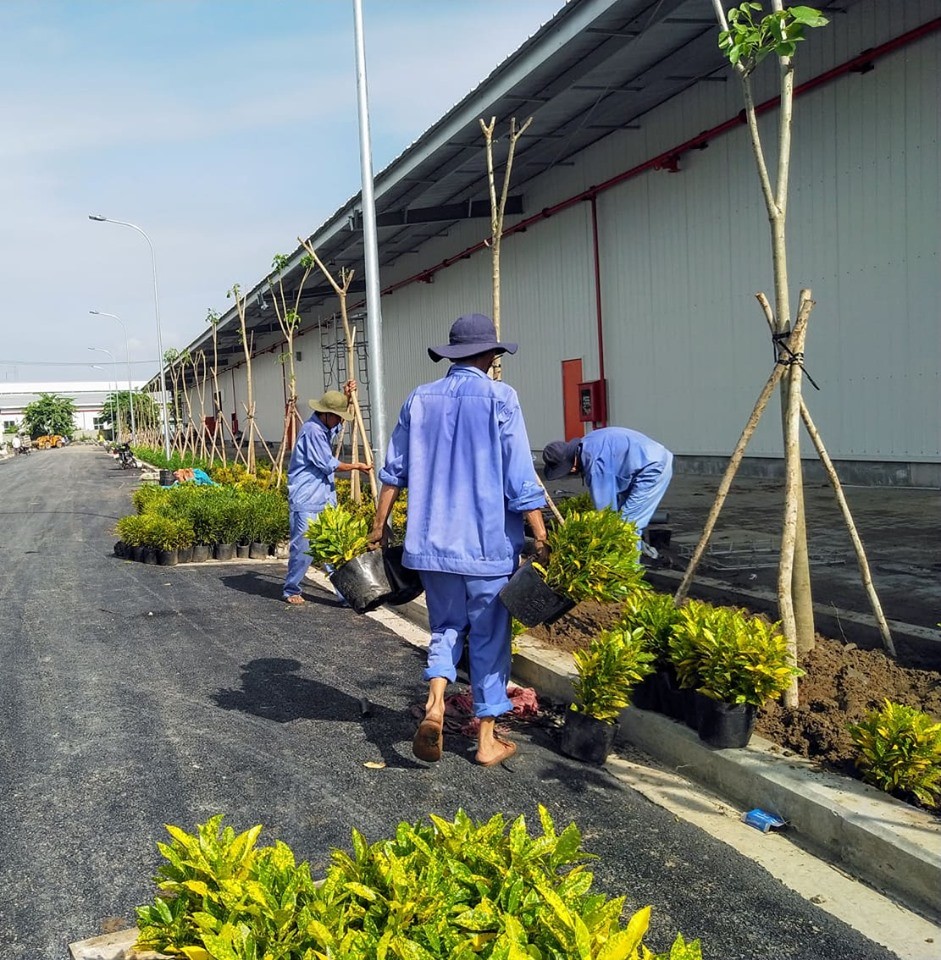 [KIZUNA TUYỂN DỤNG] NHÂN VIÊN CÂY XANH