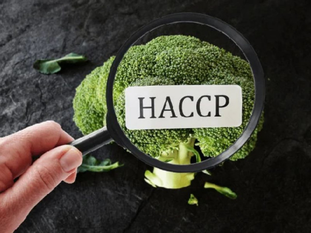 HACCP là gì? Những điều cần biết về tiêu chuẩn HACCP